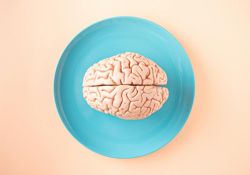 creatine brain cognitive neuroscience supplements