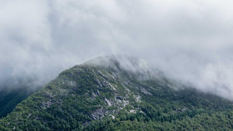 Vilka två kosttillskott bör man inte ta tillsammans?