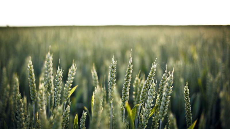 ”När ska man söka vård för trötthet?” – 3 tecken du inte bör ignorera