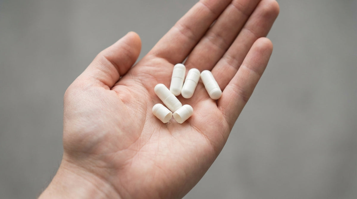 Den ultimata guiden: Vilka kosttillskott bygger faktiskt muskler?