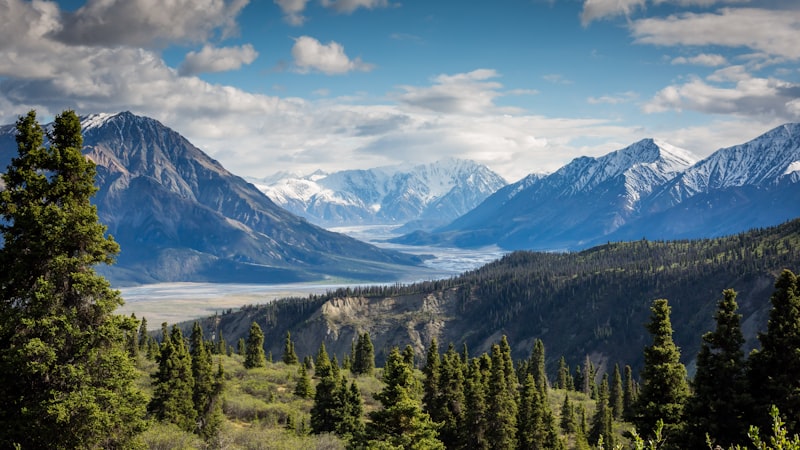 Shilajit: Vad är det och varför pratar alla om det?
