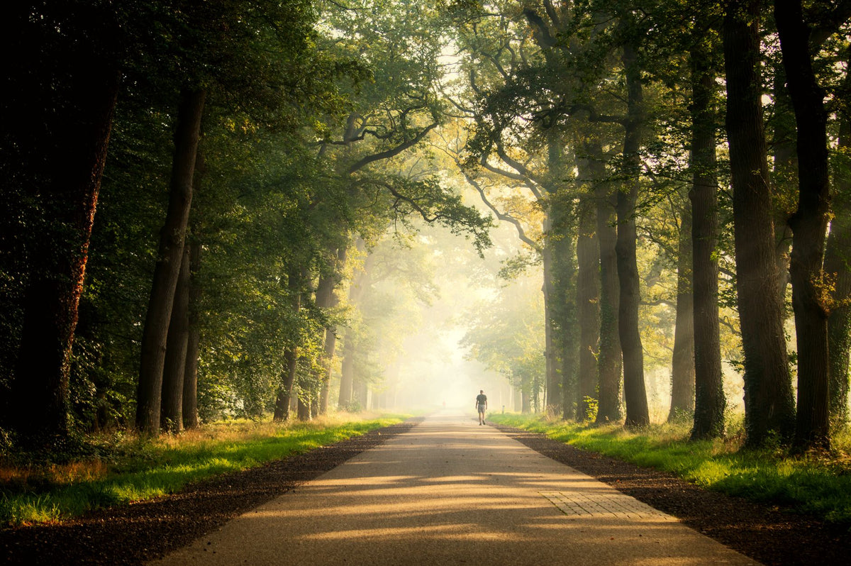 Person på lugn promenad i grönskande natur i morgonljus