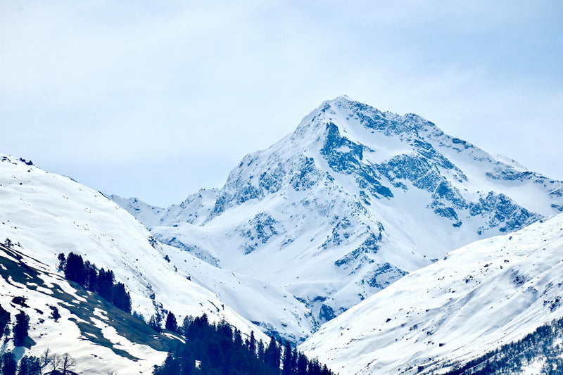 shilajit himalaya mountain minerals natural remedy